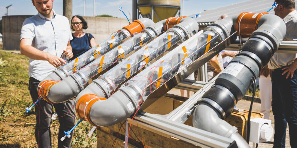 Fotos_Lynatox-3886-scaled