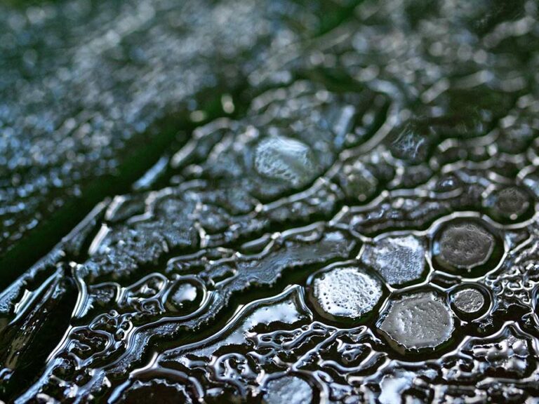 full-frame-shot-wet-surface1