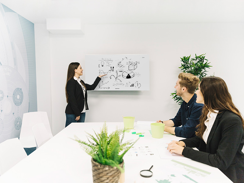 young-businesswoman-giving-presentation-her-colleagues-business-meeting